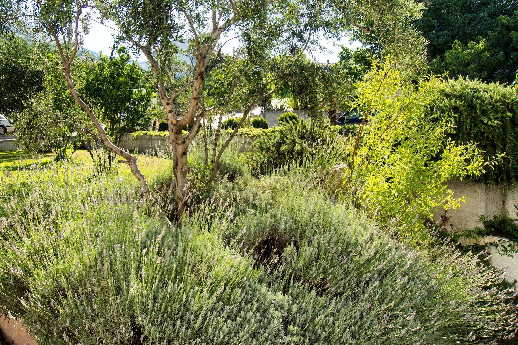 Villa Lavanda Podstrana Esterno foto