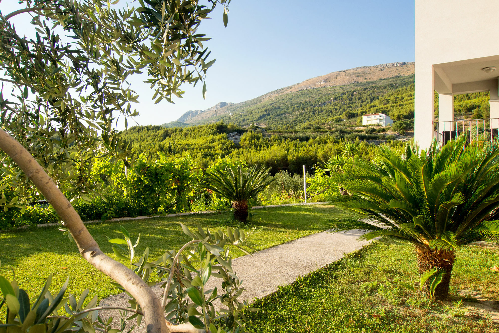 Villa Lavanda Podstrana Esterno foto